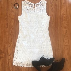 Hollister Lace Dress
